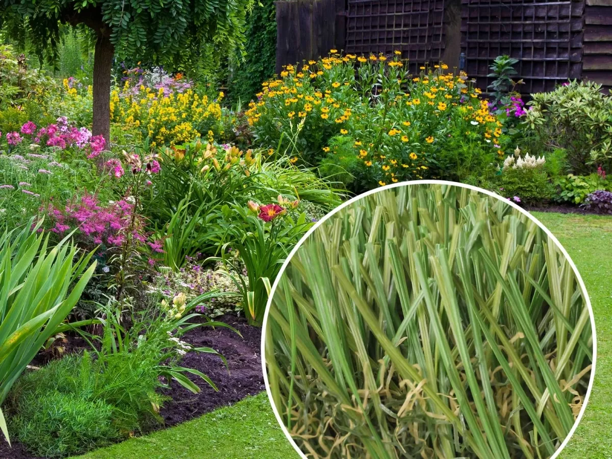 Global Syn Turf Cool Blue Hollow Olive Artificial Grass product detail