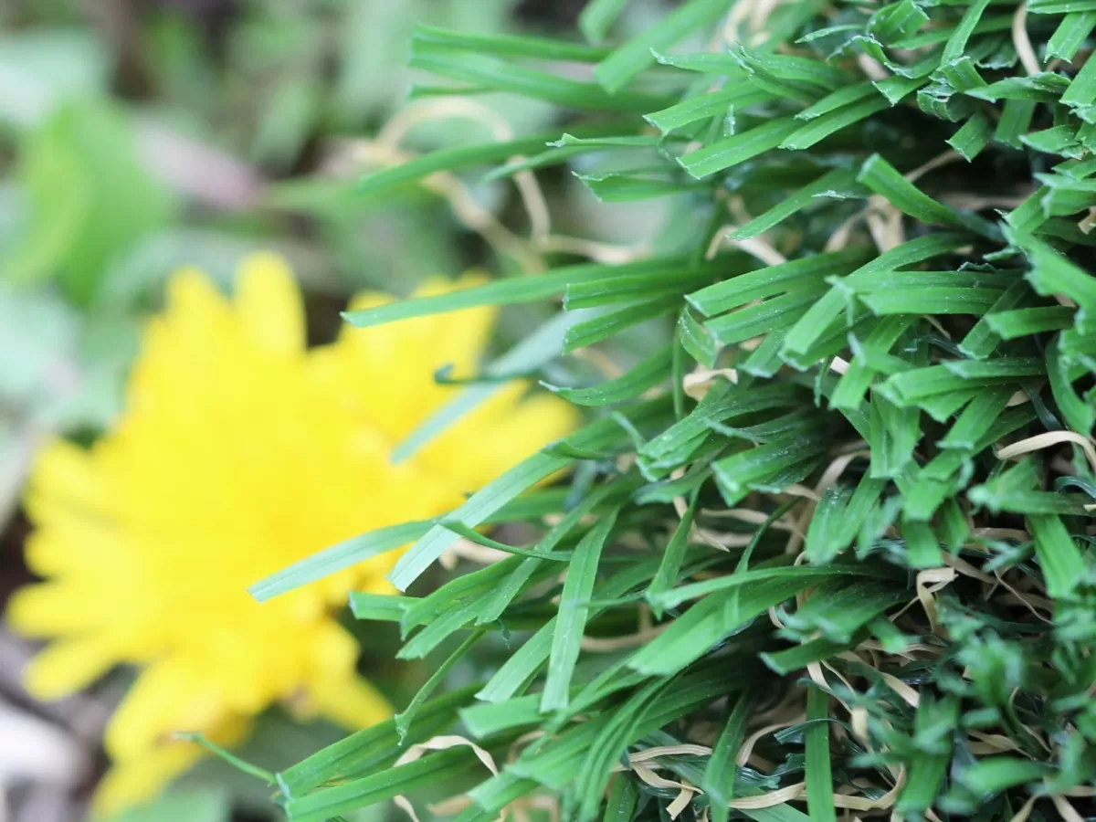 Global Syn Turf Emerald 92 StemGrass Artificial Grass product detail