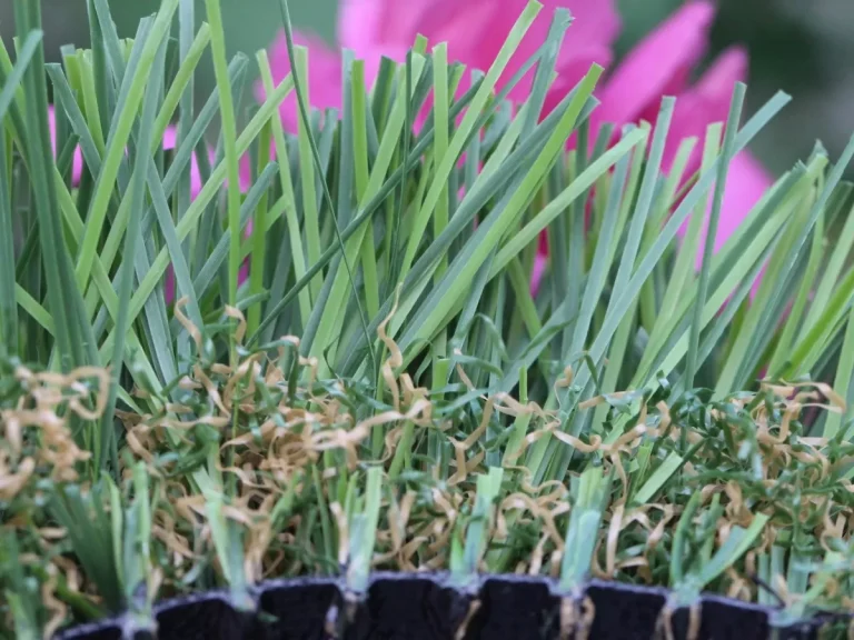 highsierra_0