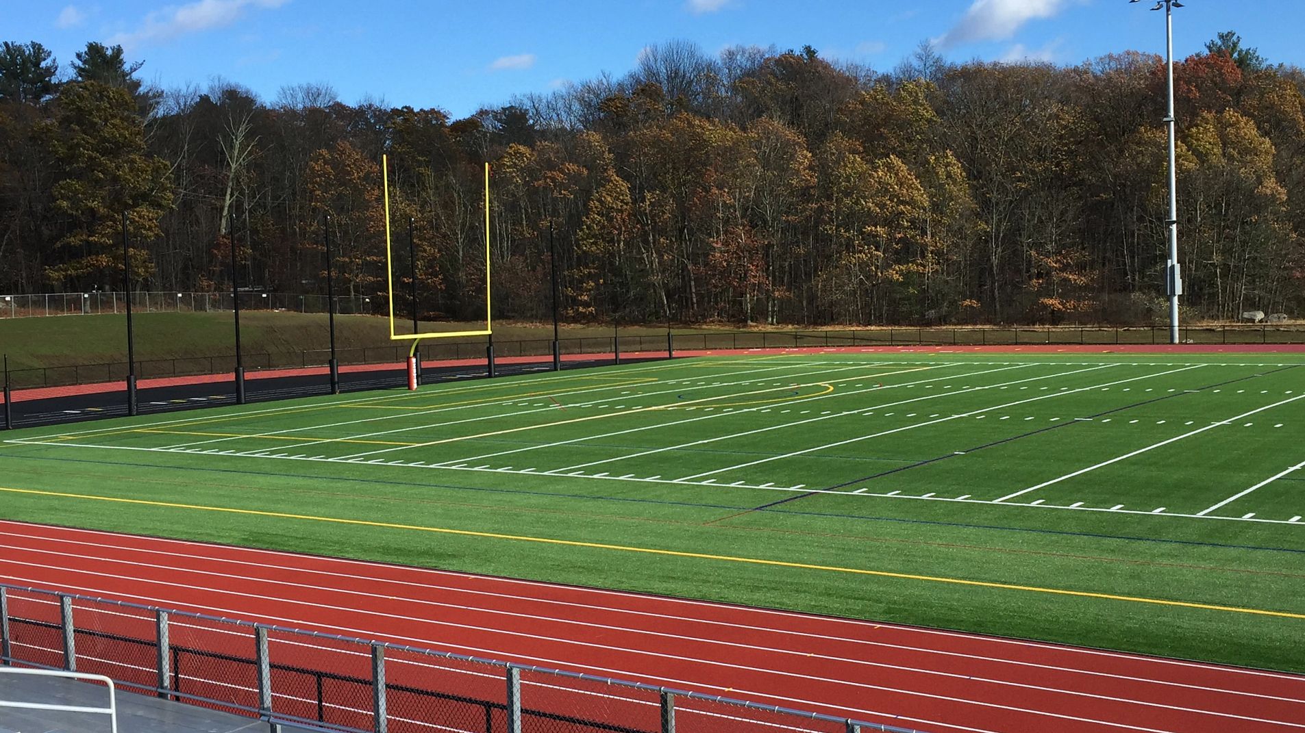 Shaw Sport Turf Legion NXT Artificial Grass product detail