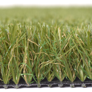 summer-rye
