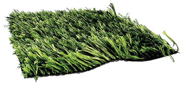 True-Grass_00