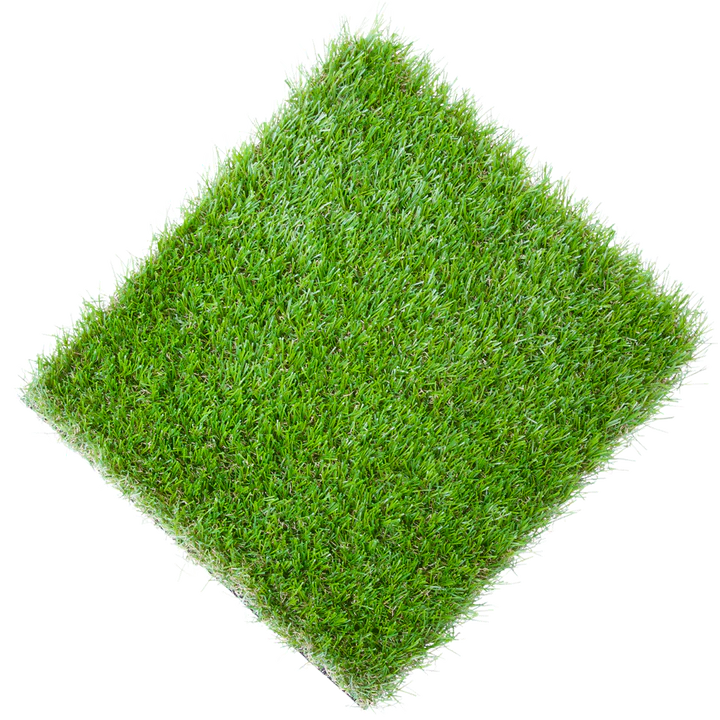megagrass-lawn_6