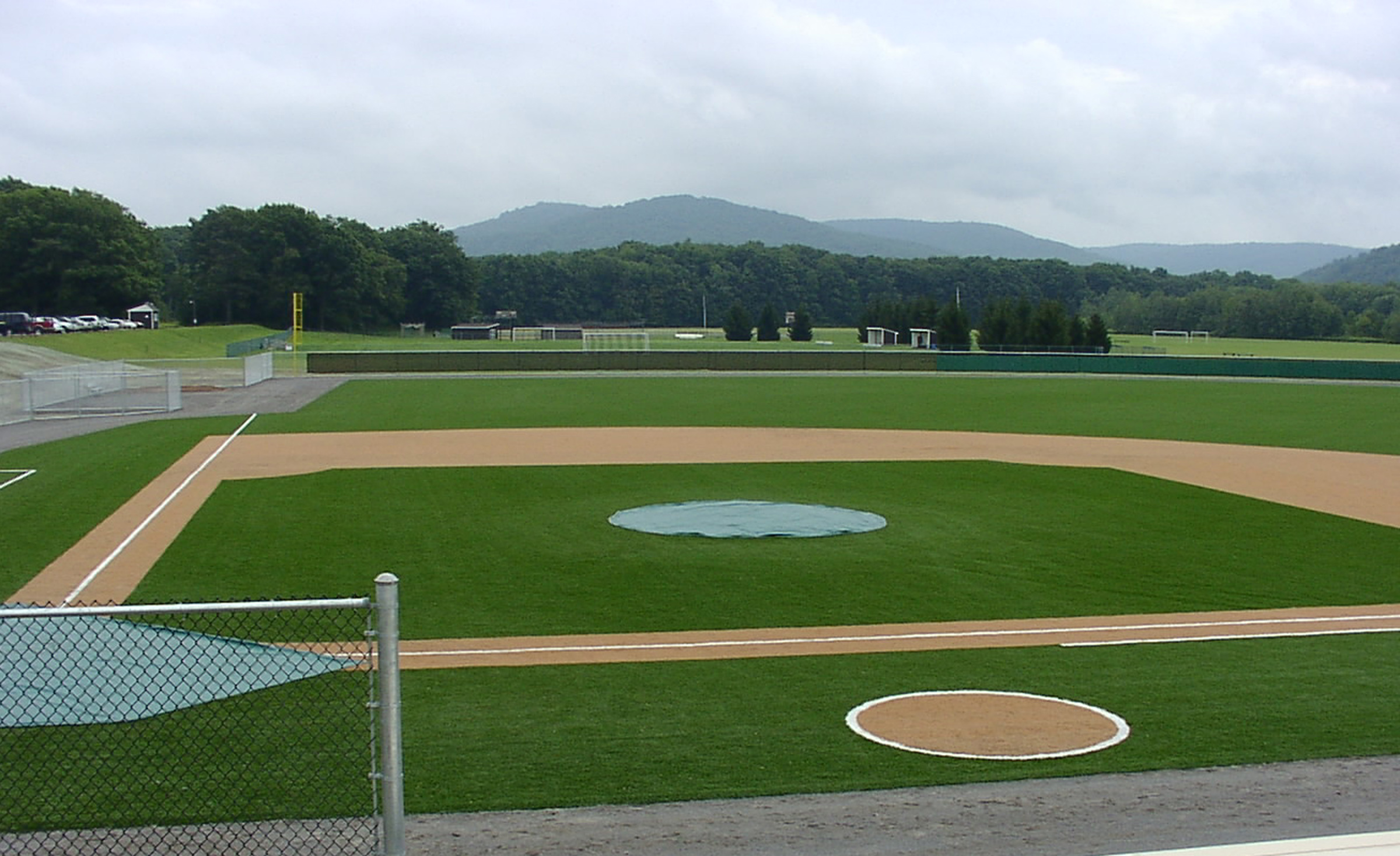 STi Pro Ball Turf Artificial Grass product detail