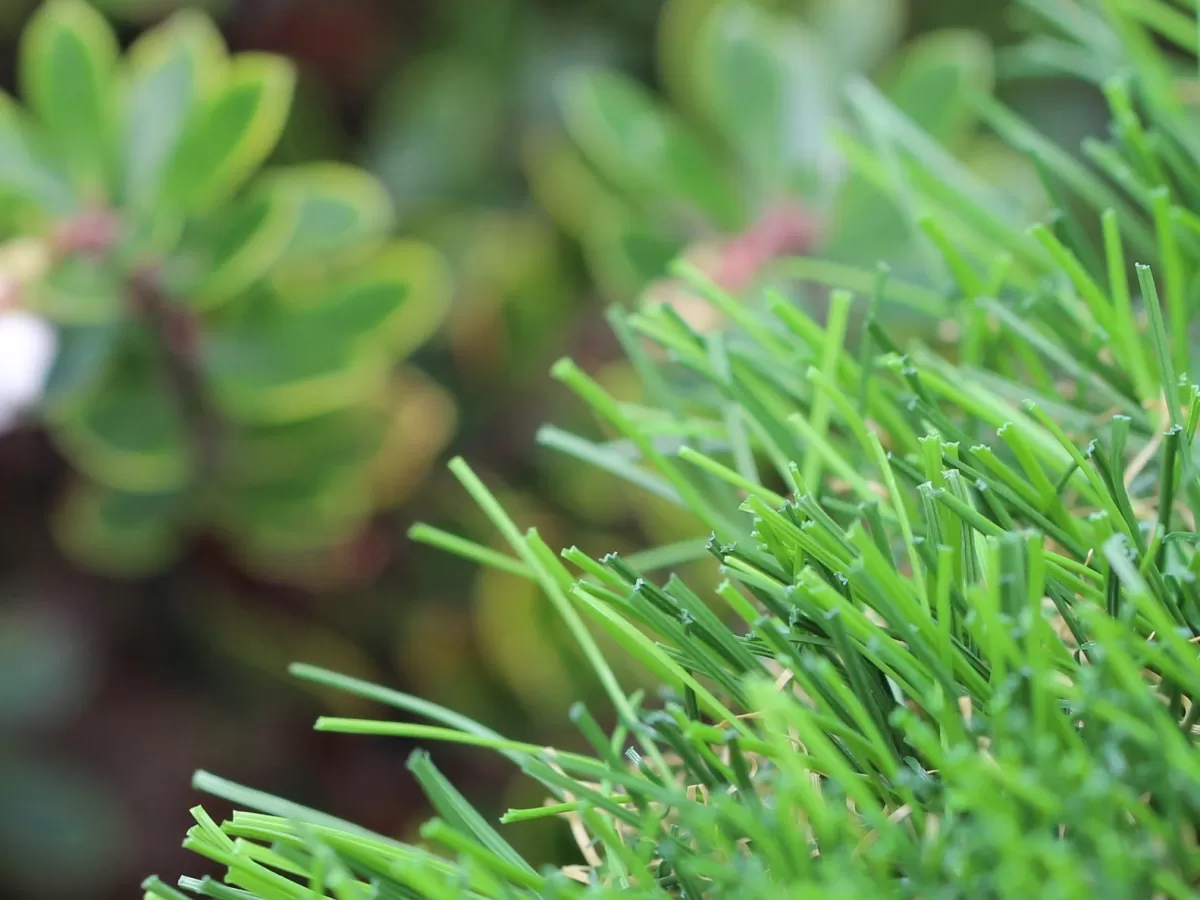 Global Syn Turf Riviera Monterey 50 Artificial Grass product detail