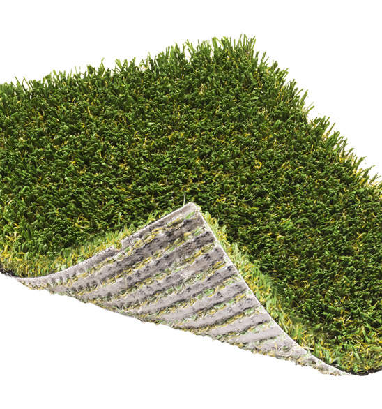 sassy_grass_00