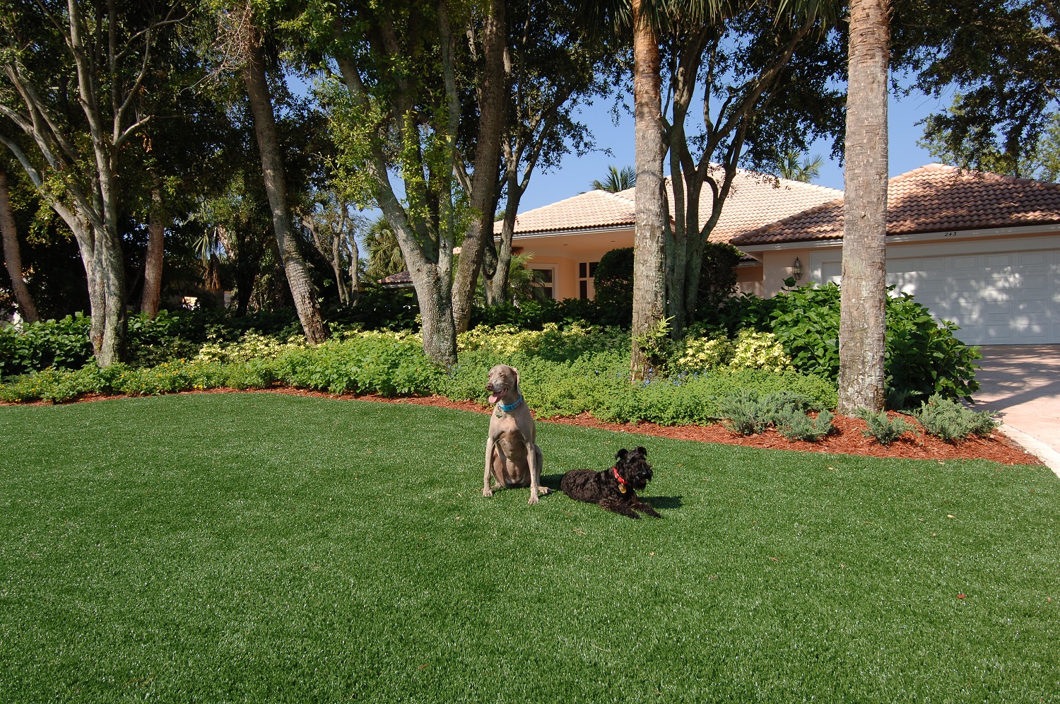 STi SoftLawn Barefoot Comfort Artificial Grass product detail