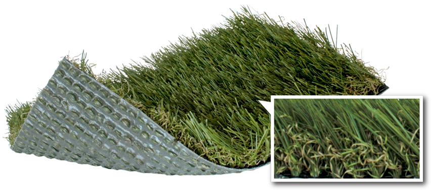 softlawn_select_fescue_00