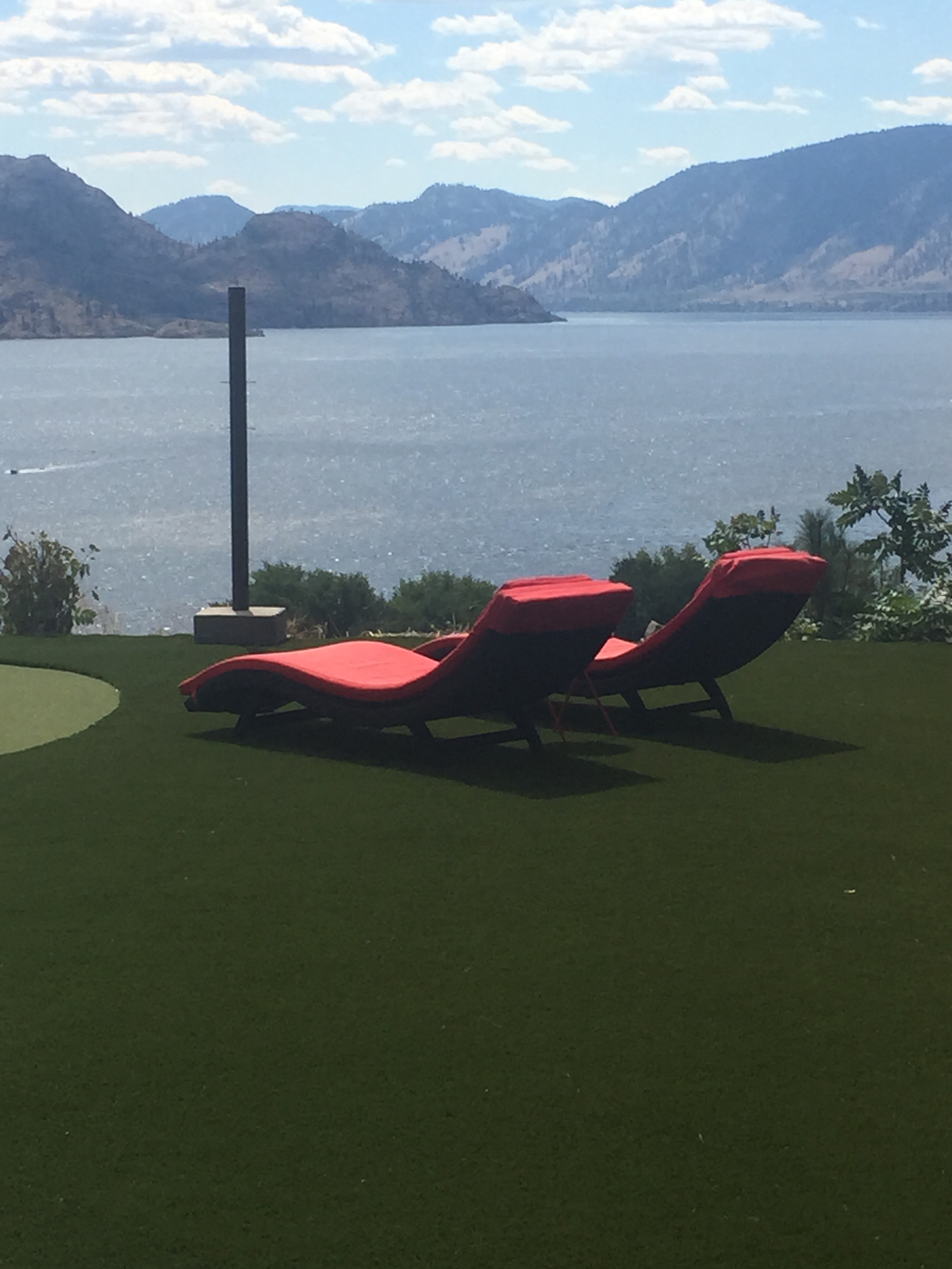 STi SoftLawn Ultra Luxury Artificial Grass product detail