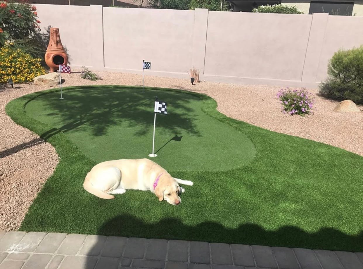 Turf Hub Laguna Blend Pro Artificial Grass product detail