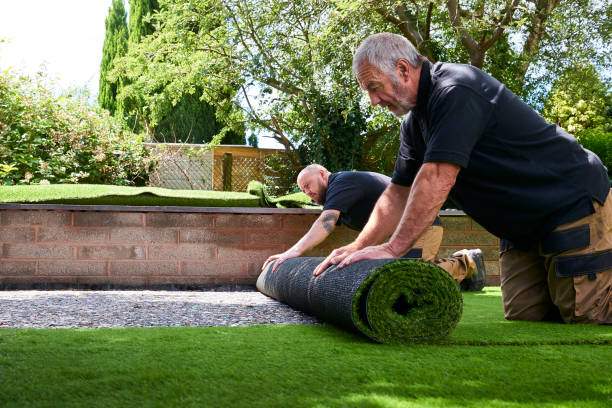 Artificial turf cost warranty and support